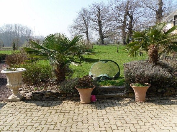 Décoration paysagère à l'aide de plantes en pots et palmiers par Cenatus Paysagiste dans le 35